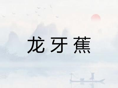 龙牙蕉
