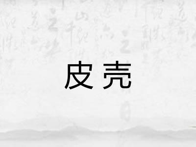 皮壳