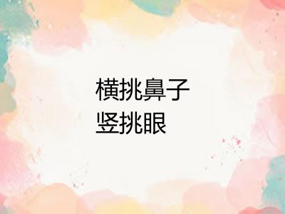 横挑鼻子竖挑眼