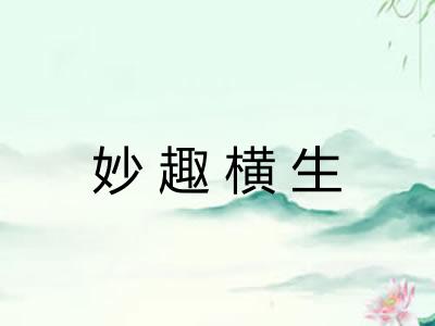 妙趣横生