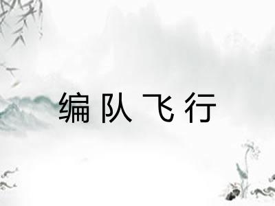 编队飞行