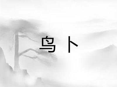 鸟卜