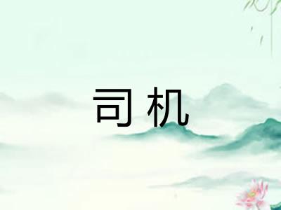 司机