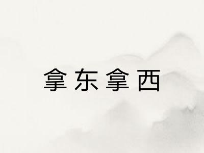 拿东拿西