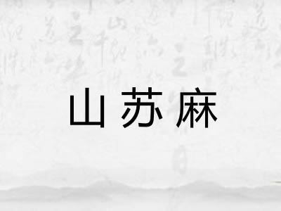 山苏麻