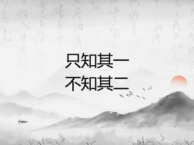 只知其一不知其二