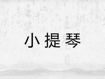 小提琴