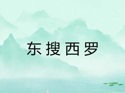 东搜西罗