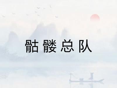 骷髅总队