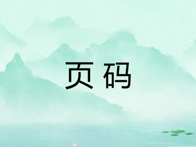 页码