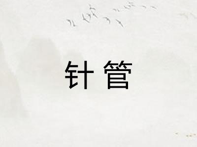 针管