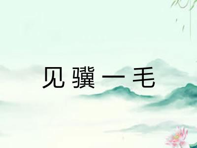 见骥一毛