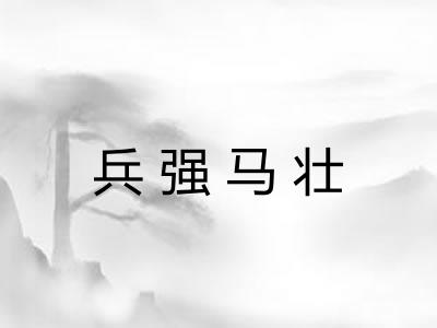 兵强马壮