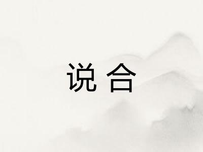 说合