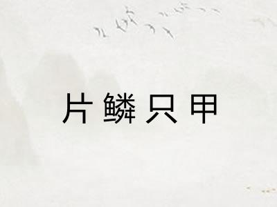 片鳞只甲