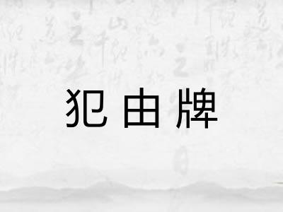 犯由牌
