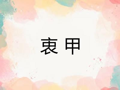 衷甲