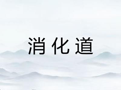 消化道