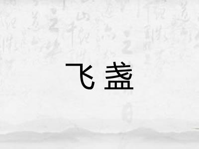 飞盏