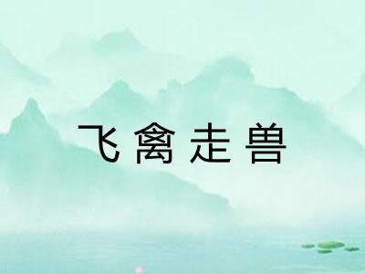 飞禽走兽