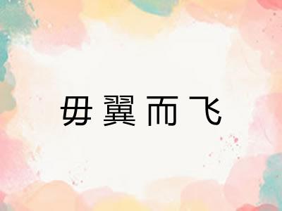毋翼而飞