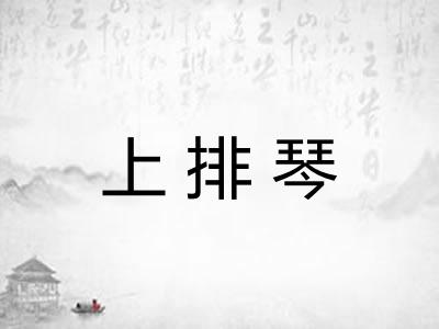 上排琴