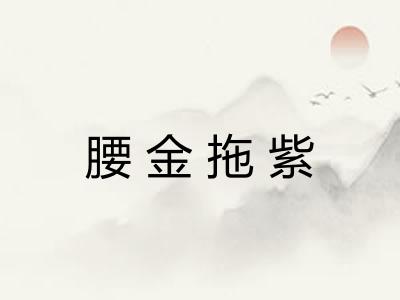 腰金拖紫
