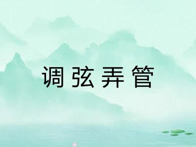 调弦弄管