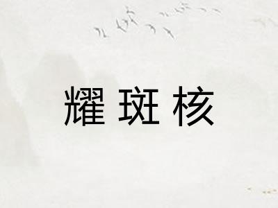 耀斑核