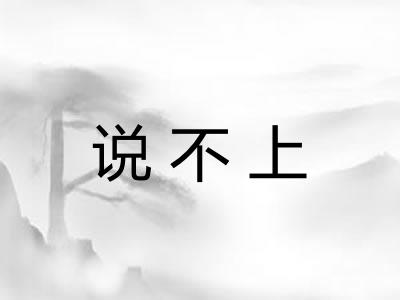 说不上