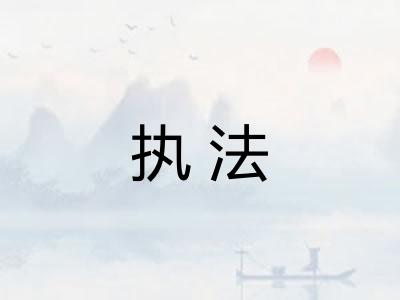 执法