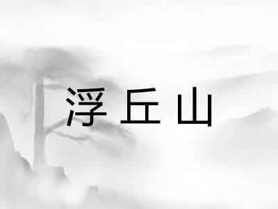 浮丘山