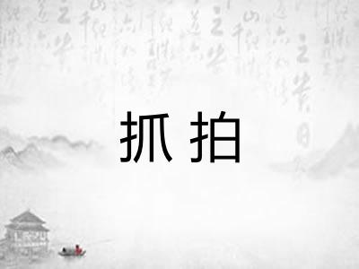 抓拍