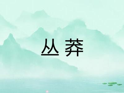 丛莽