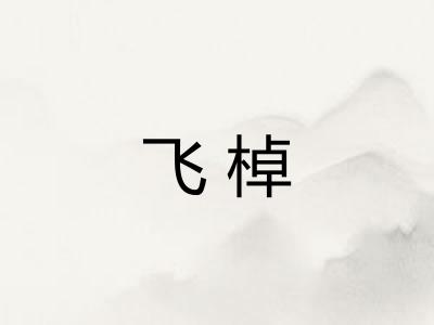 飞棹