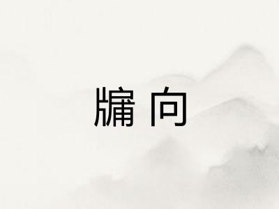 牖向