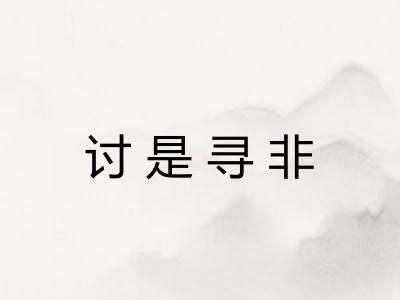 讨是寻非