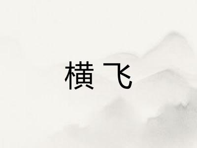 横飞
