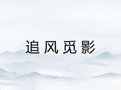 追风觅影