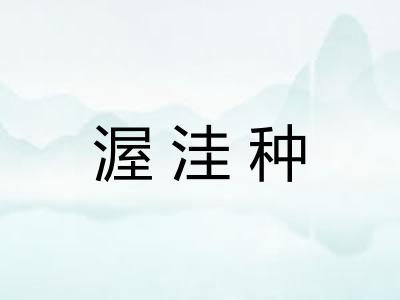 渥洼种