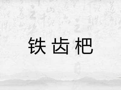 铁齿杷