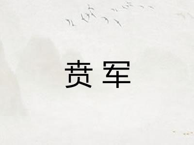 贲军