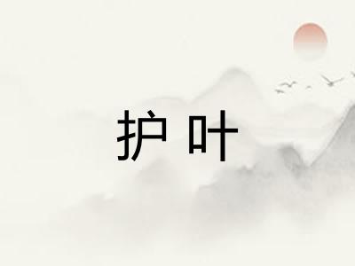 护叶