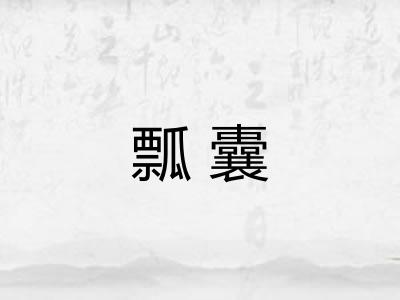 瓢囊