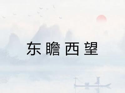 东瞻西望