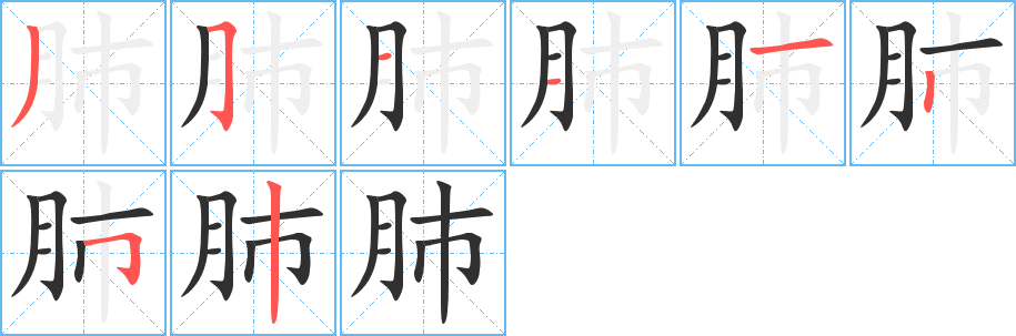 肺的笔顺分步演示图