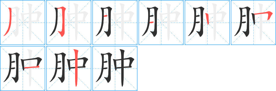 肿的笔顺分步演示图