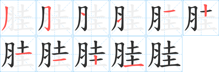 胿的笔顺分步演示图