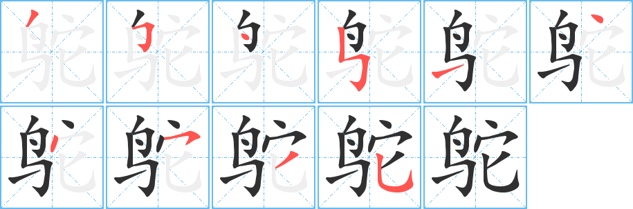 鸵的笔顺分步演示图